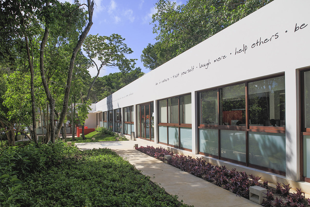 What is TAO Mexico? Discover our team and our story